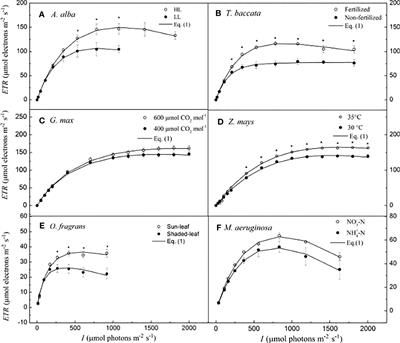 Investigation on absorption cross-section of photosynthetic pigment molecules based on a mechanistic model of the photosynthetic electron flow-light response in C3, C4 species and cyanobacteria grown under various conditions